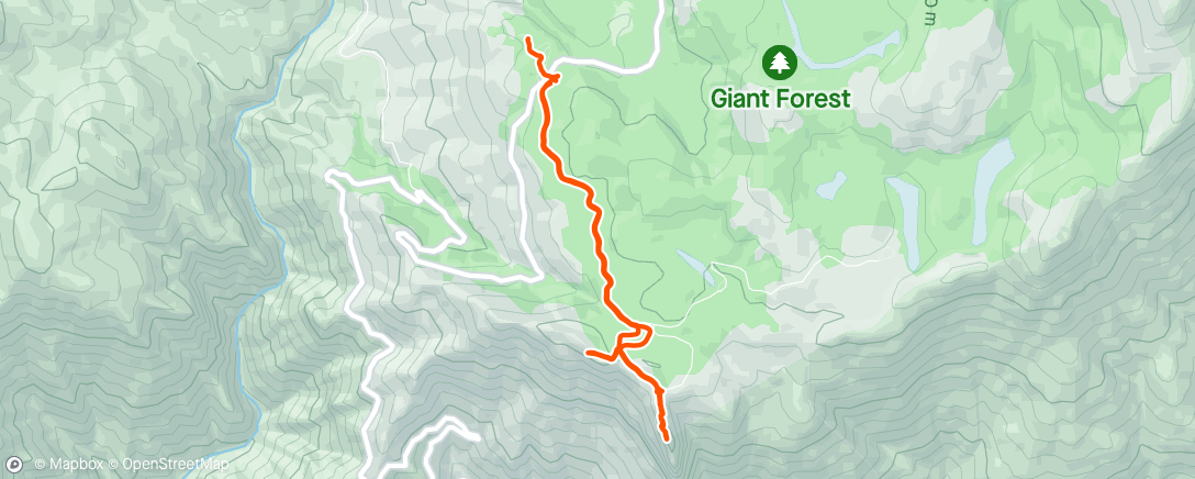 アクティビティ「Sequoia NP Morro Rock hike」の地図