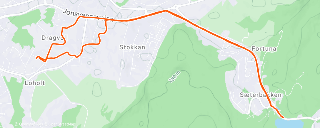 Map of the activity, Afternoon Run