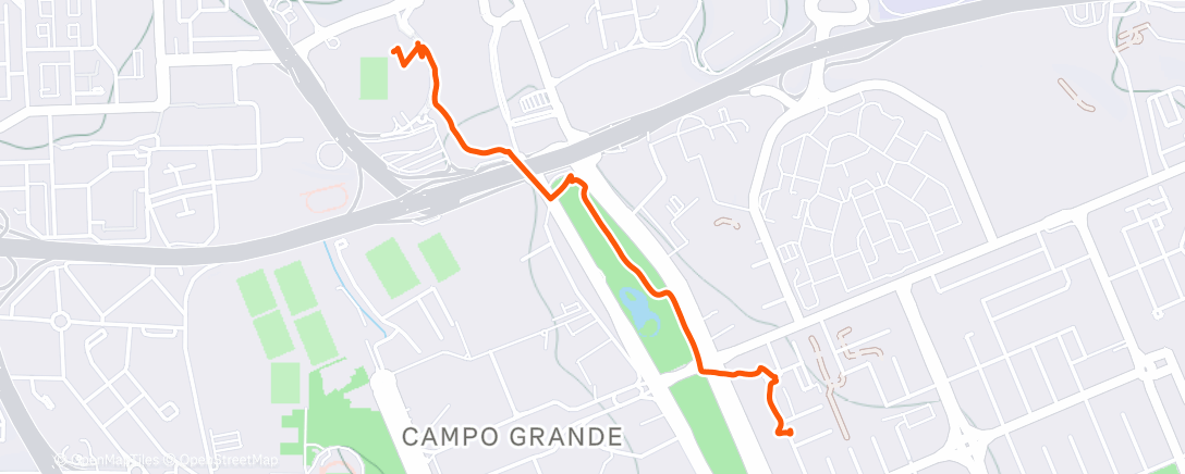 Карта физической активности (SCP)