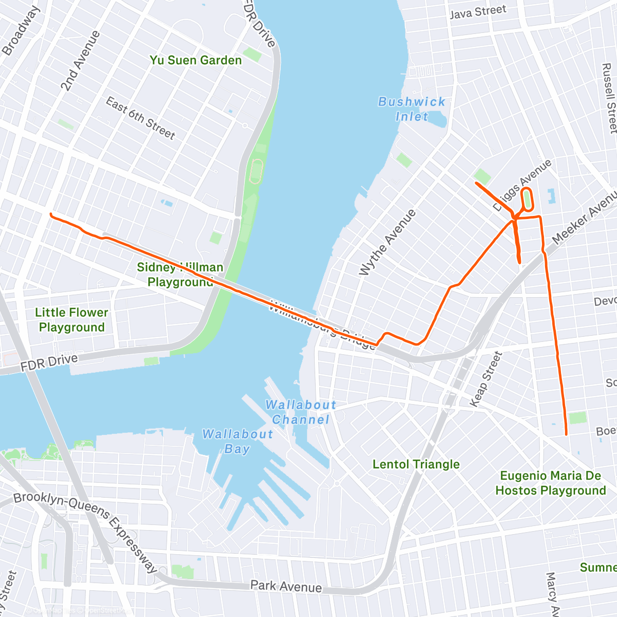 Mappa dell'attività Morning Run