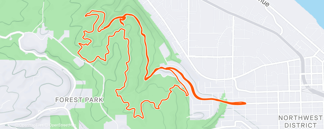 Карта физической активности (Eddy n his ladies)