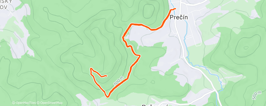 Карта физической активности (Morning Trail Run)