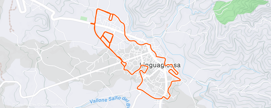 Карта физической активности (Metti il grasso, togli il grasso)