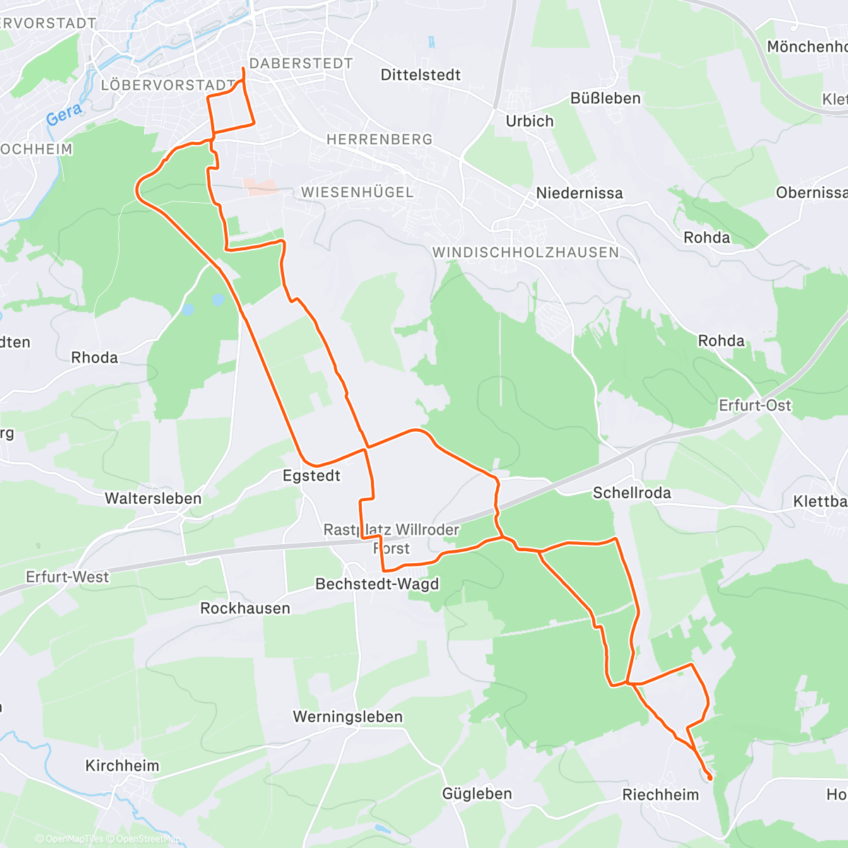 Карта физической активности (Riechheimer-Tour ➕ Fog-Fun 😶‍🌫️)