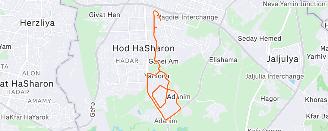 Карта физической активности (Morning Run)