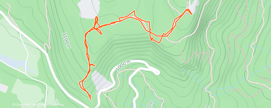 Карта физической активности (Morning Walk)