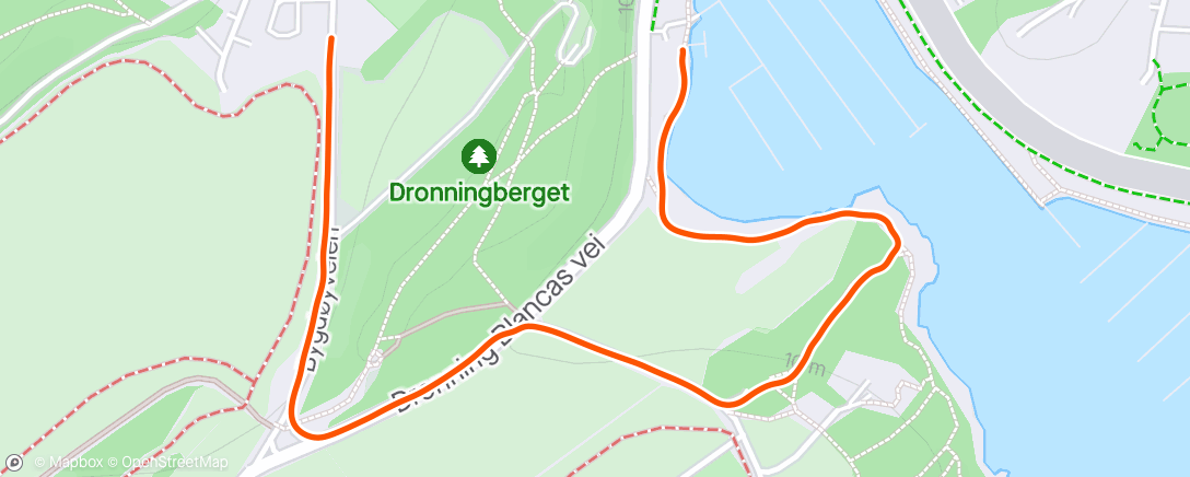 活动地图，Nedjogg