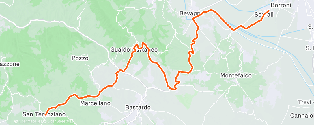 Map of the activity, Gamba di legno