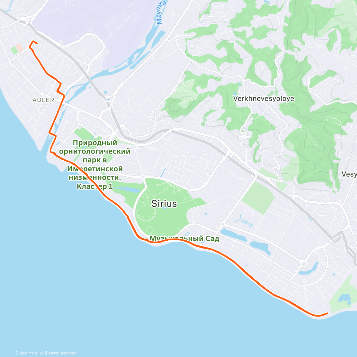 Map of the activity, Вечерний забег