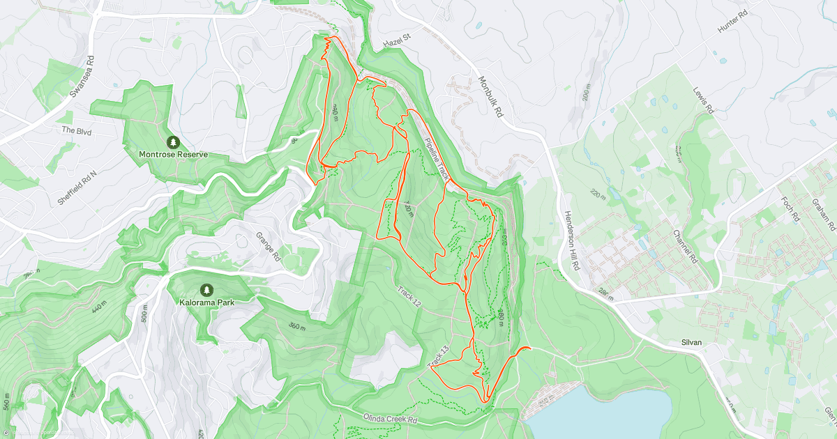 www.strava.com