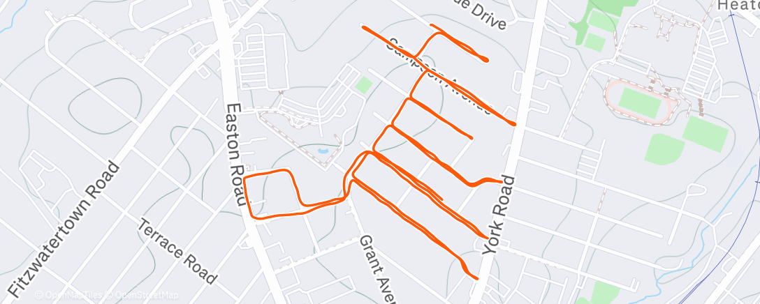 Map of the activity, Morning Run