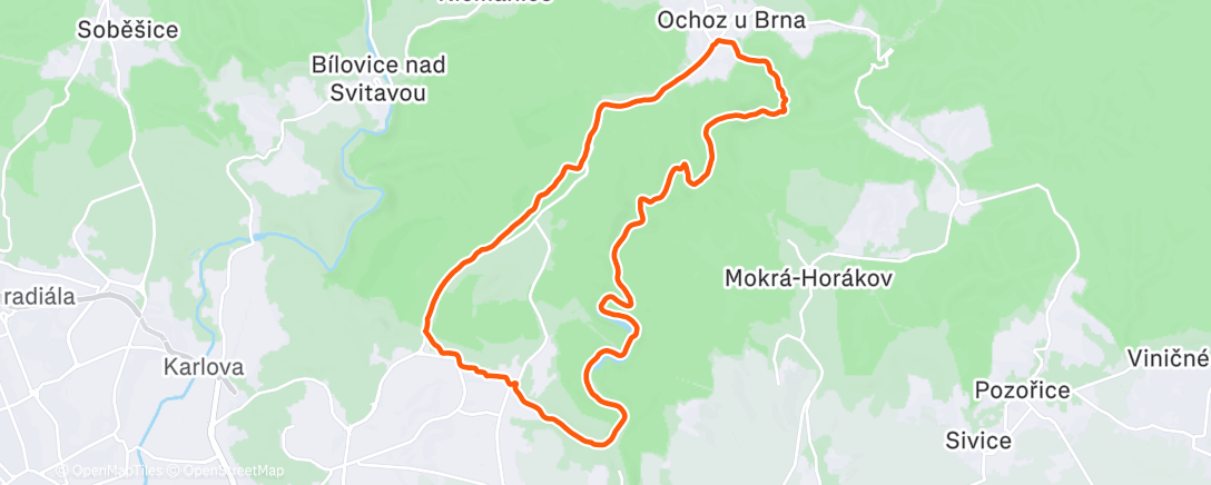 Карта физической активности (Povánoční walk🥾 údolím 🦌 do Ochoza ☀️🍺)