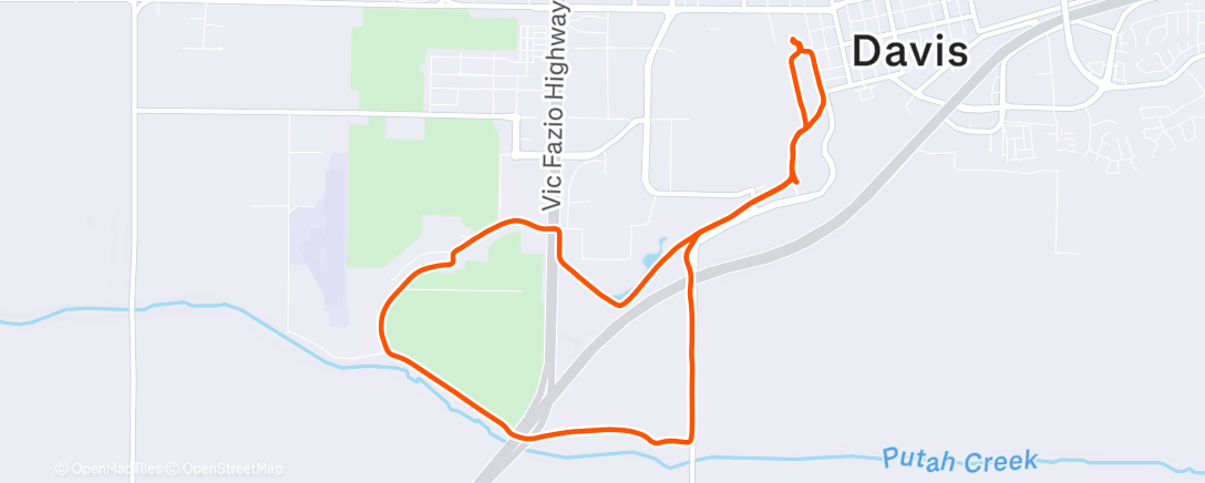 Map of the activity, Fog, trees, sheep