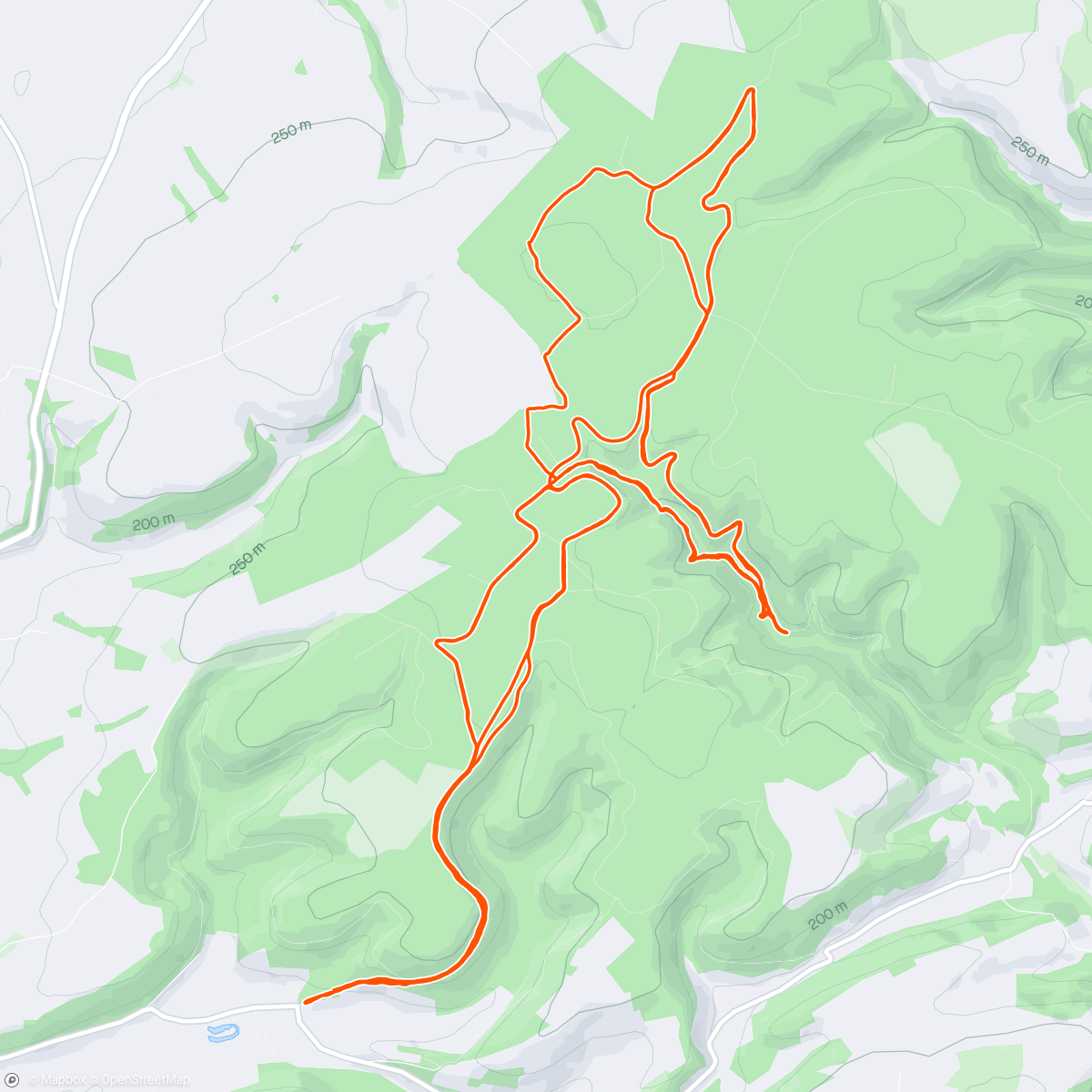 Mapa de la actividad (Dog Trail Run 🐾)