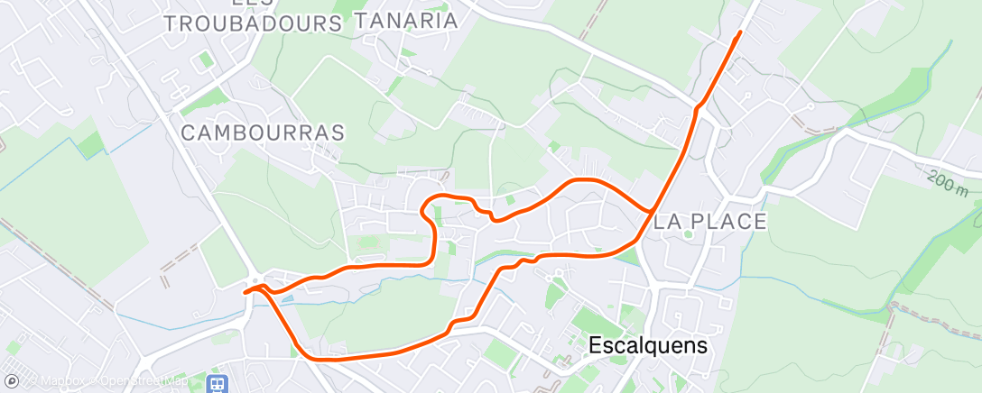 Map of the activity, Marche