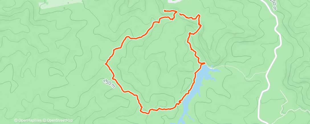 Карта физической активности (Afternoon Walk)