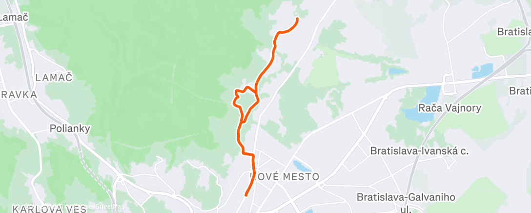 Карта физической активности (Afternoon Walk)