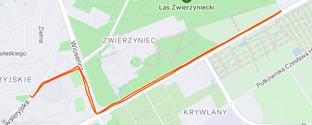 Map of the activity, Night Walk