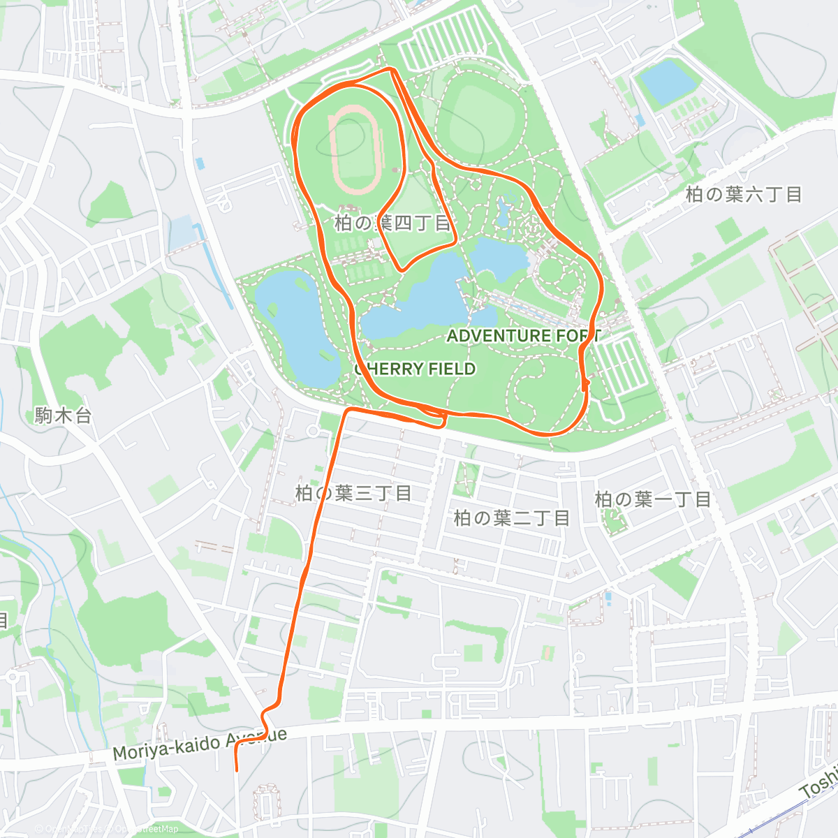 Map of the activity, Morning Run