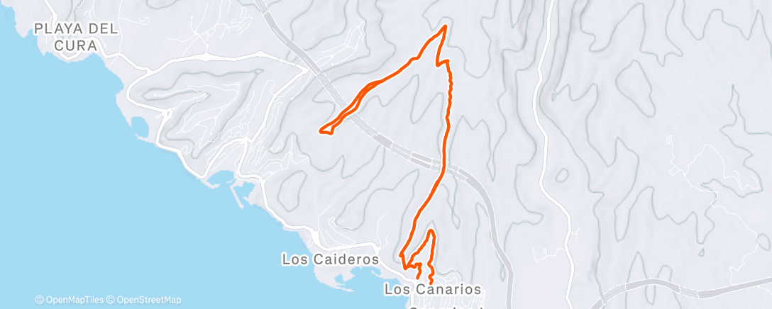 Map of the activity, Morning Trail Run