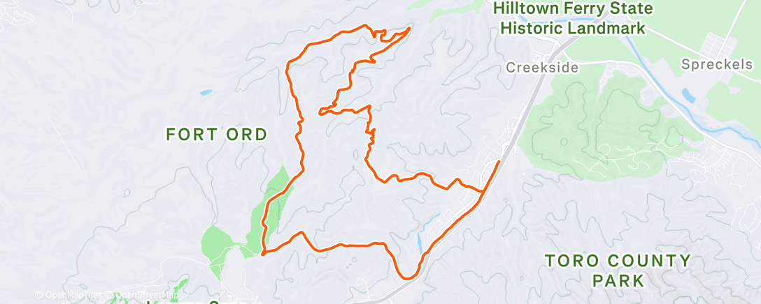 Карта физической активности (Morning Trail Run)