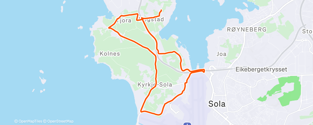 Карта физической активности (Morning Run🦖)