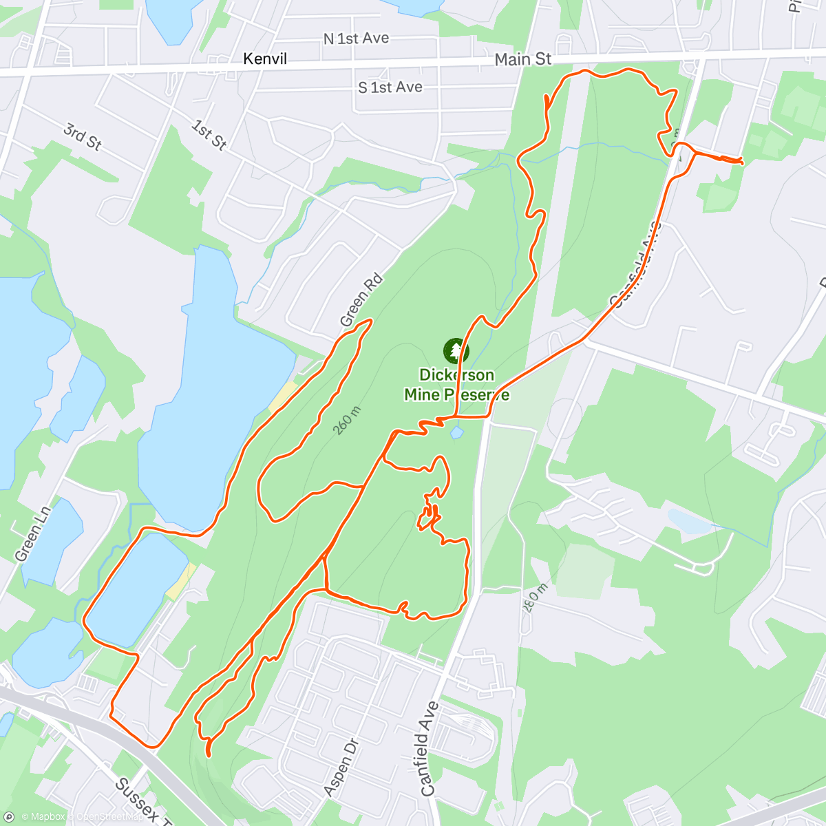 Map of the activity, Dickerson Mine w/Nick