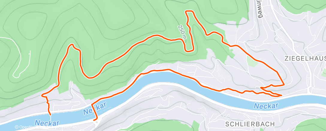 Карта физической активности (Traillauf am Nachmittag)