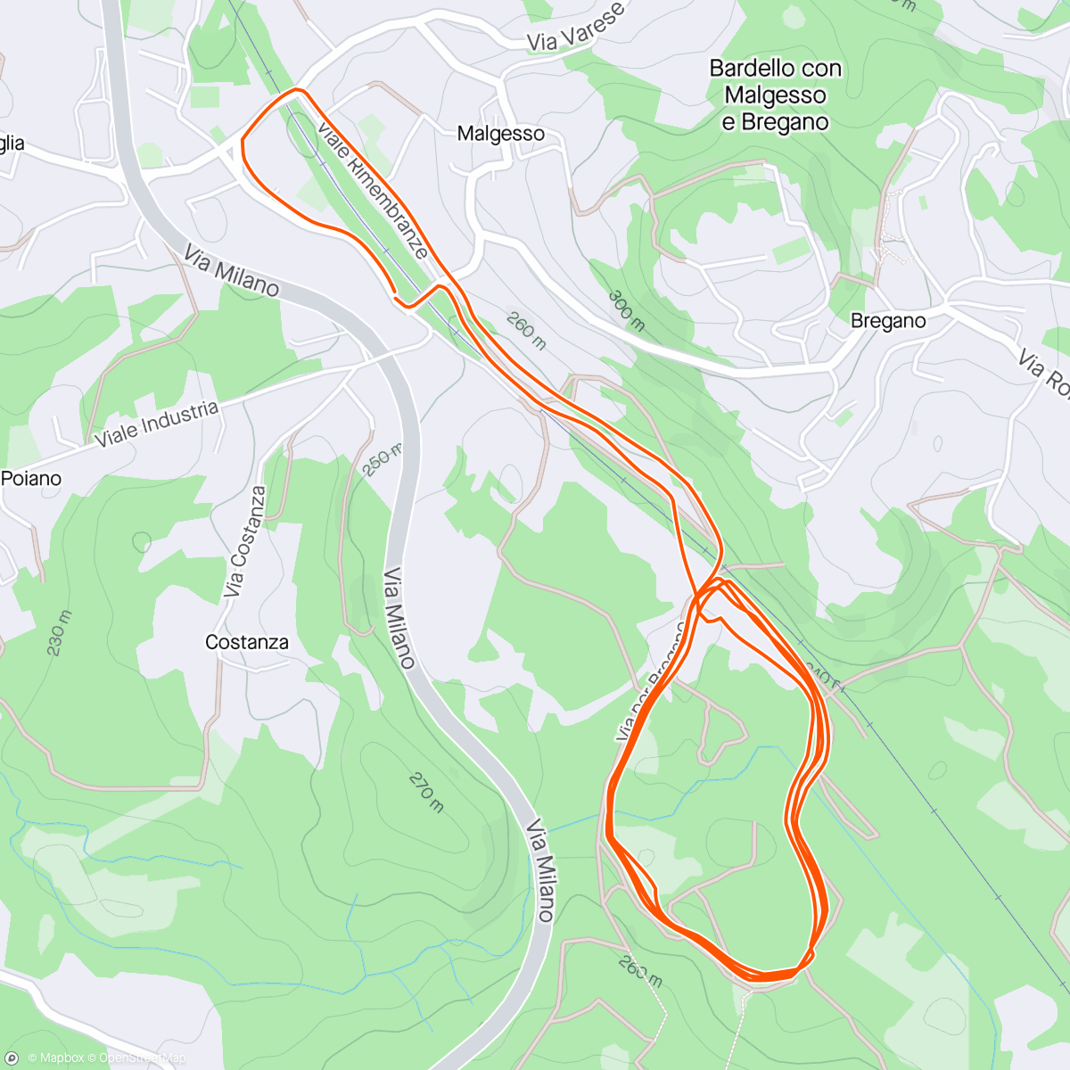 Map of the activity, Fields and forest