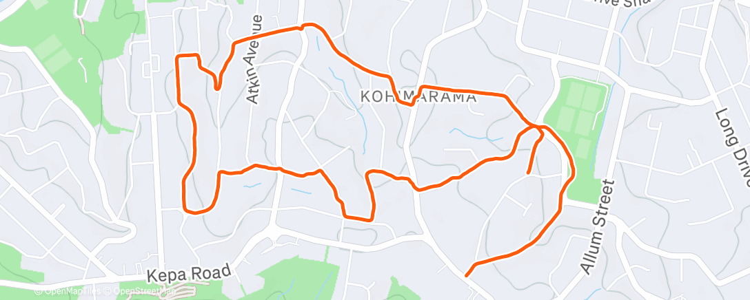 Mapa de la actividad (Afternoon Run)