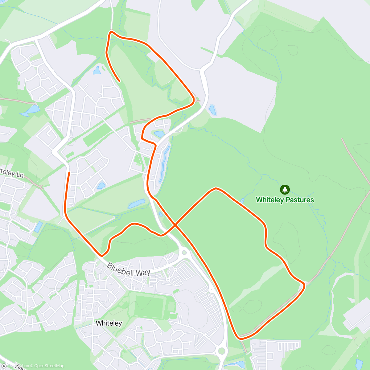 Mapa de la actividad (Morning Run through the Bluebell Woods)