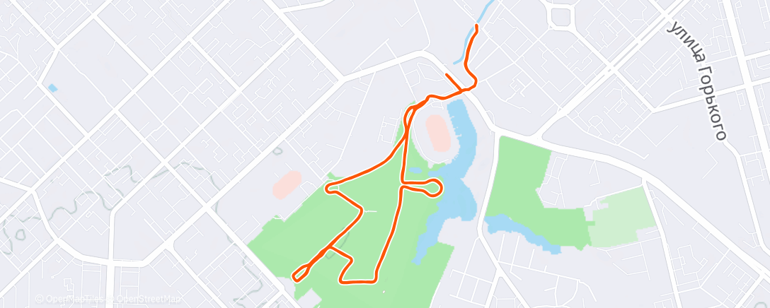 Карта физической активности (Вечерний забег)