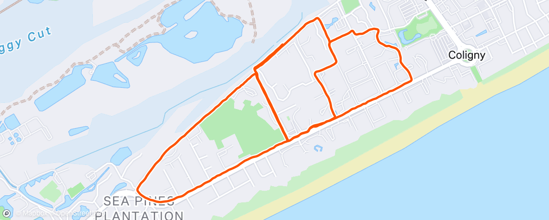 Map of the activity, Morning Run