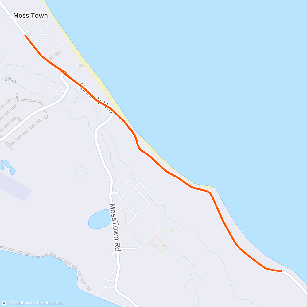 Map of the activity