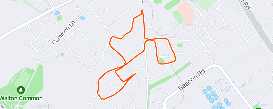 Map of the activity, Night walk/jog