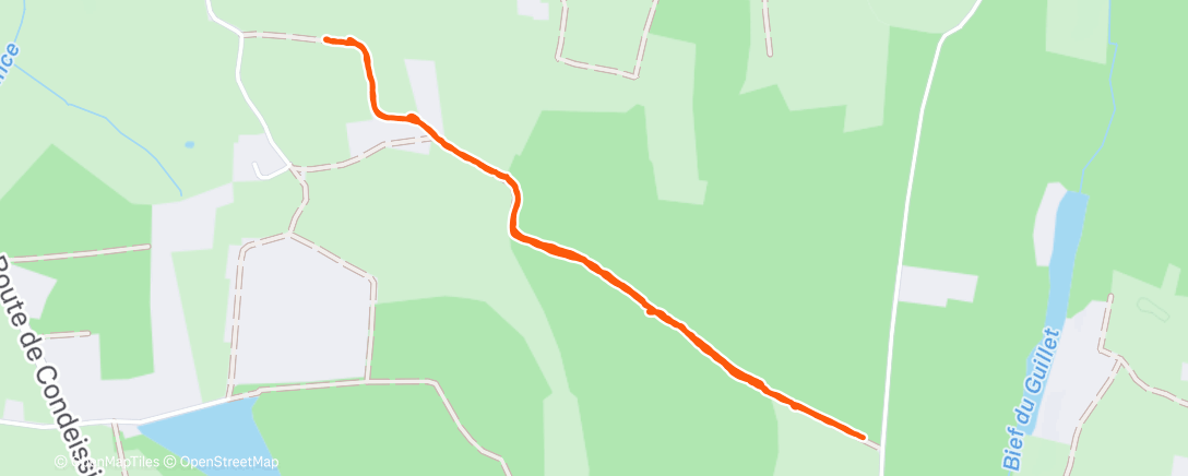 Map of the activity, Promenade des chiens