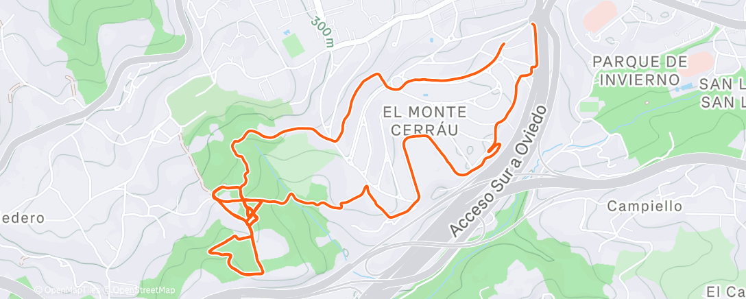 Карта физической активности (Bosque Montecerrao)