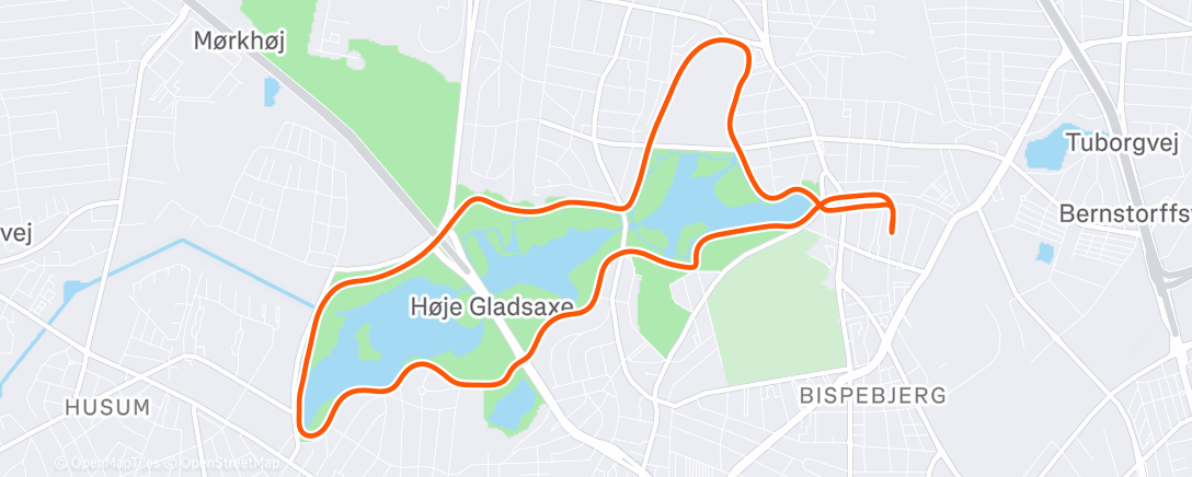 Map of the activity, Morning Run