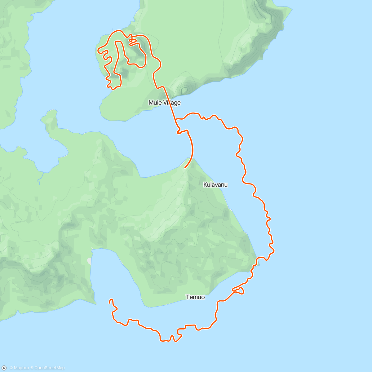 Map of the activity, Easy hour with a busted toe.