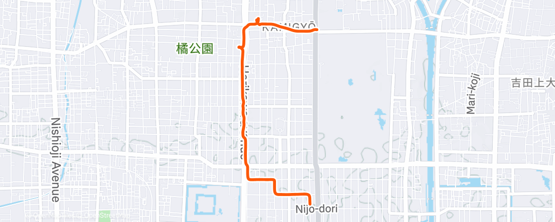 Map of the activity, 午後のウォーキング