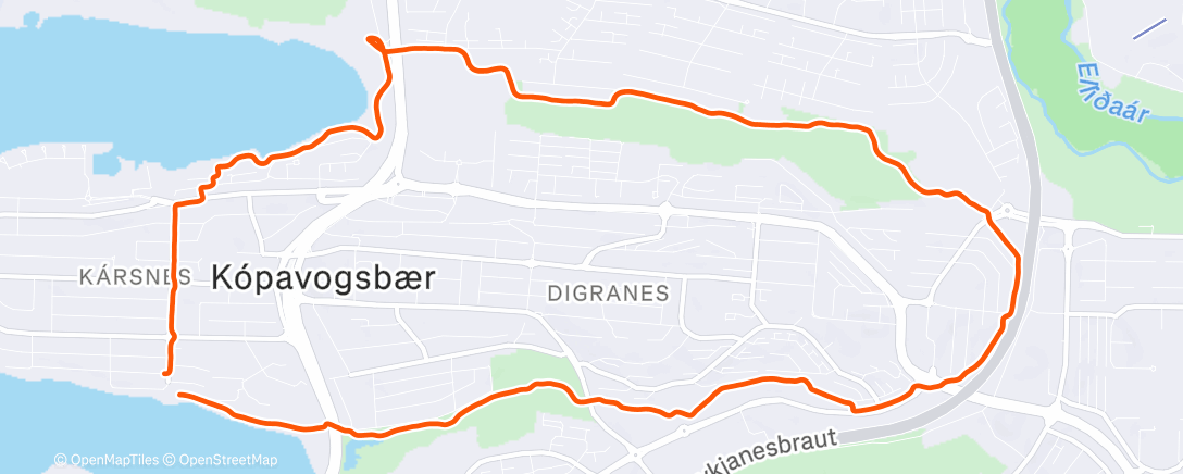 Карта физической активности (Morning Run)