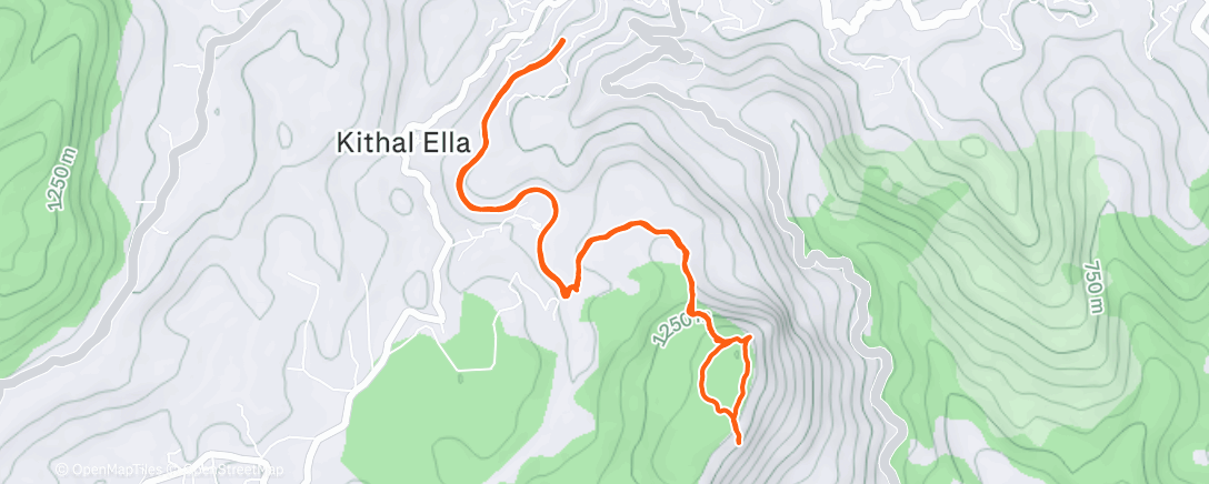 Map of the activity, Morning Trail Run