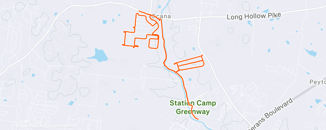 Карта физической активности (Morning Run)