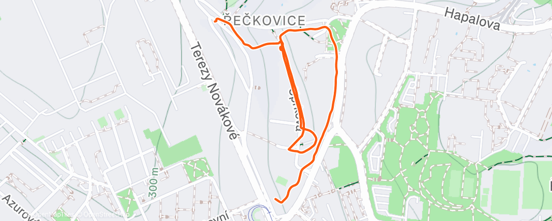 Map of the activity, Night Run