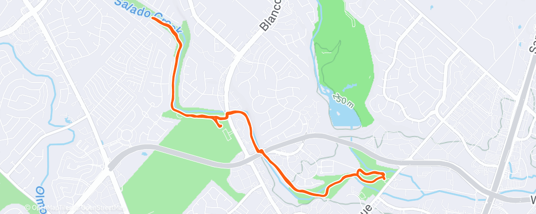 Map of the activity, Morning Run