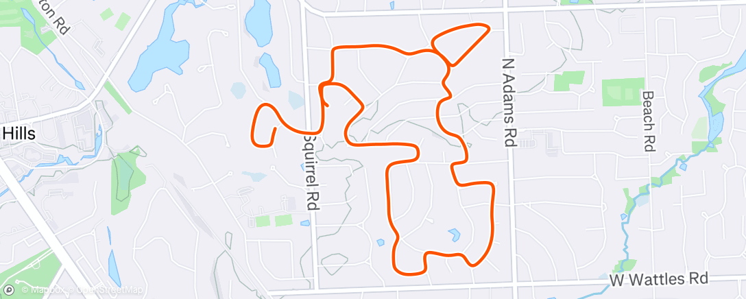 Map of the activity, Morning Run