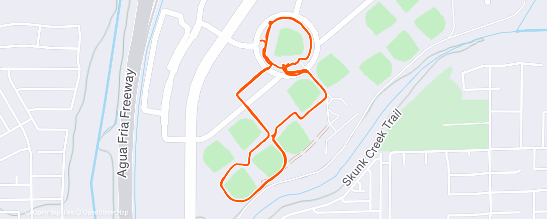 Карта физической активности (Afternoon Run)