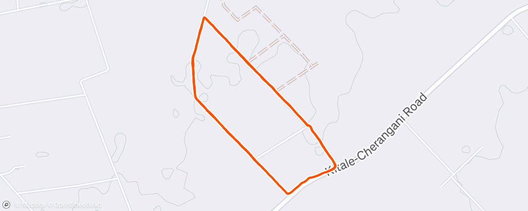 Map of the activity, Morning Run
