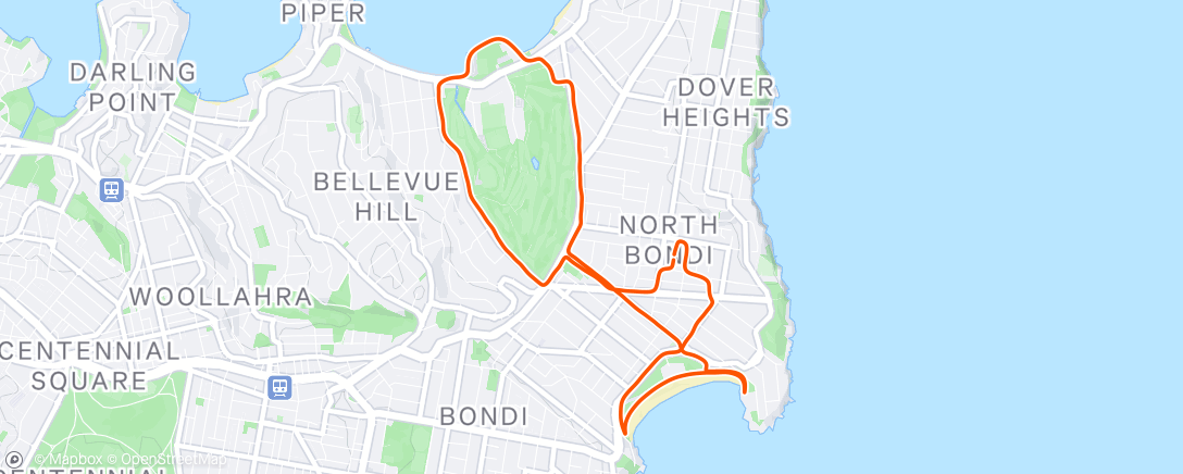 Map of the activity, Morning Run