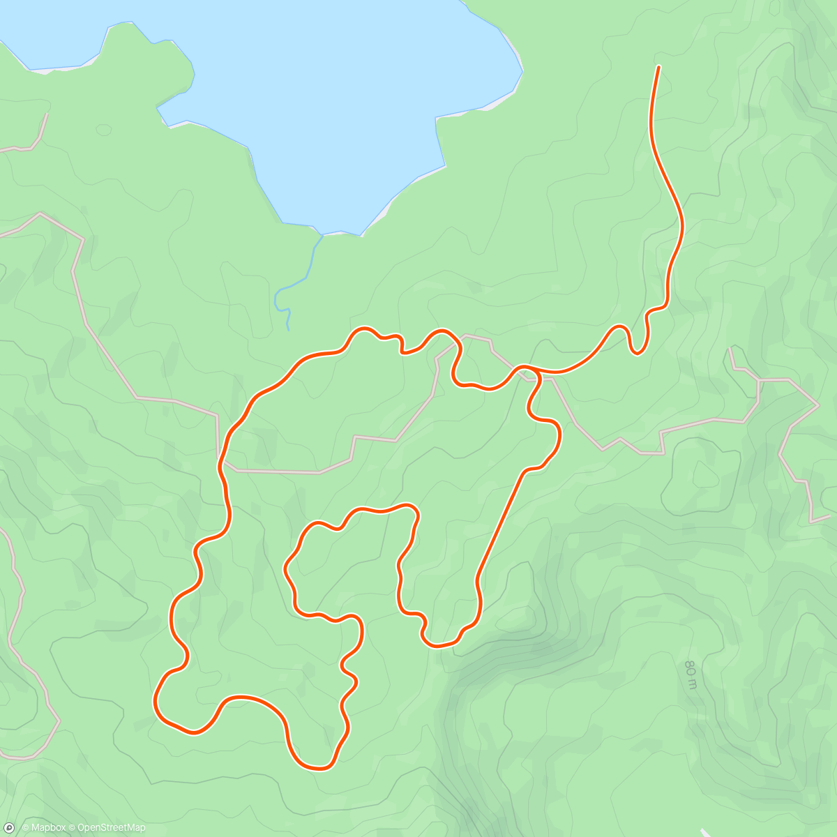 Mapa de la actividad (Zwift - Group Ride: EVO CC Vortex Interval Ride [~3-3.8w/kg avg] (B) on Jungle Circuit in Watopia)